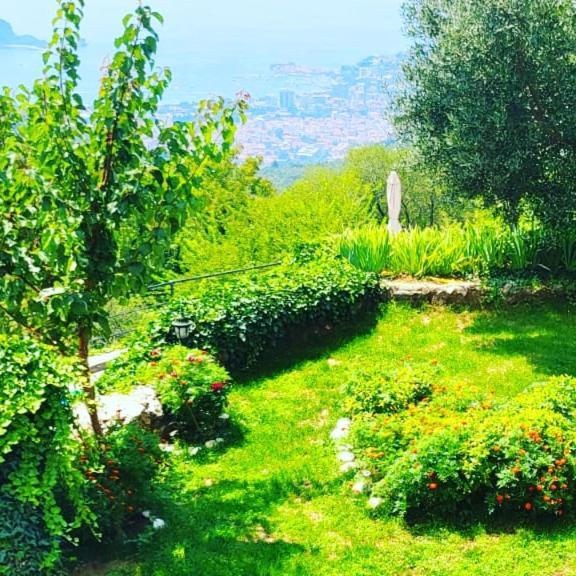 Villa Nera Budva Luaran gambar